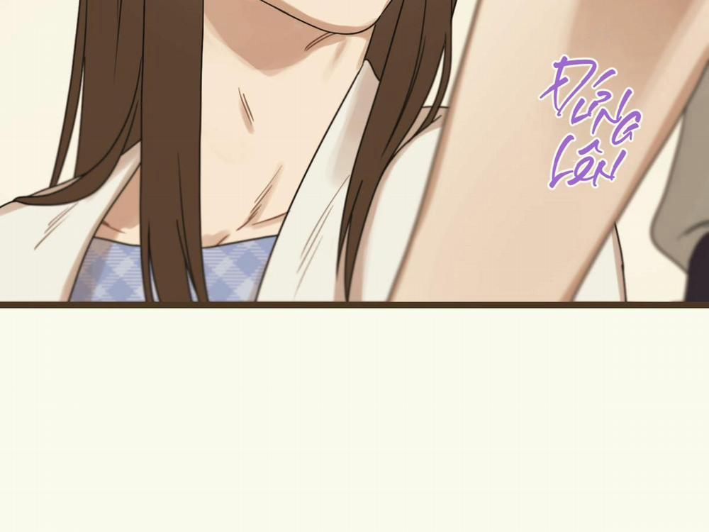 Tương Phùng 16 trang 232