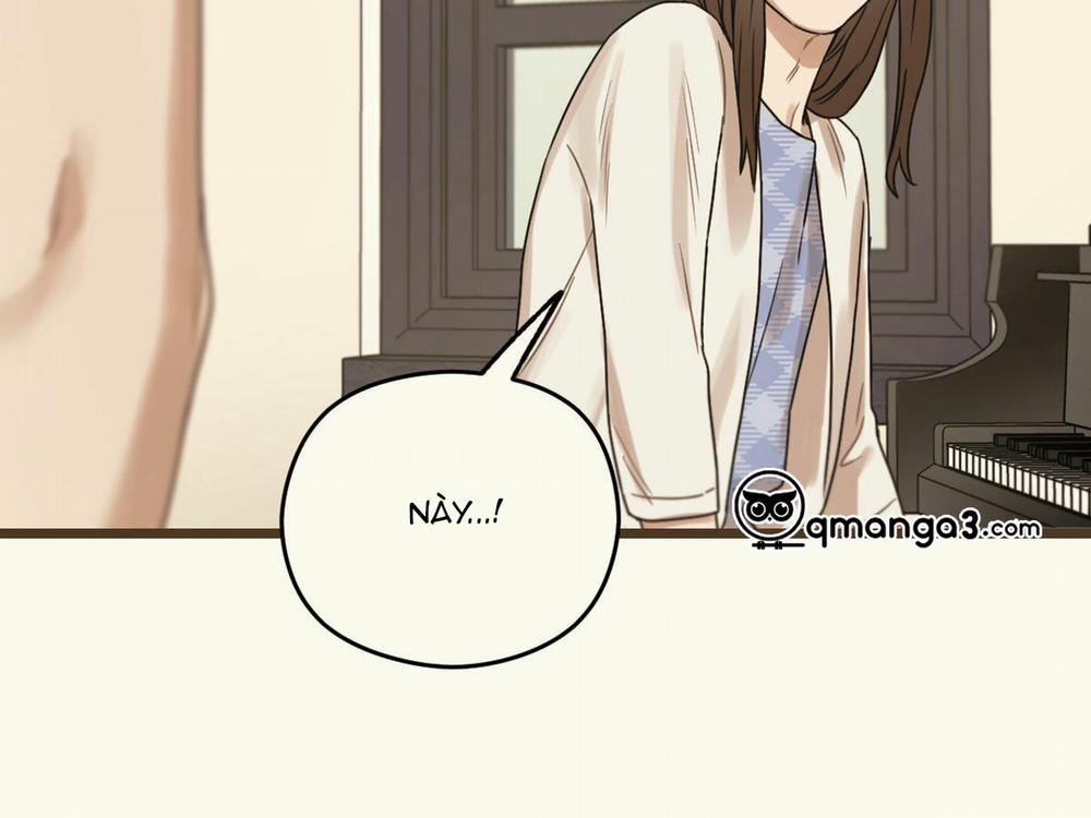 Tương Phùng 16 trang 234