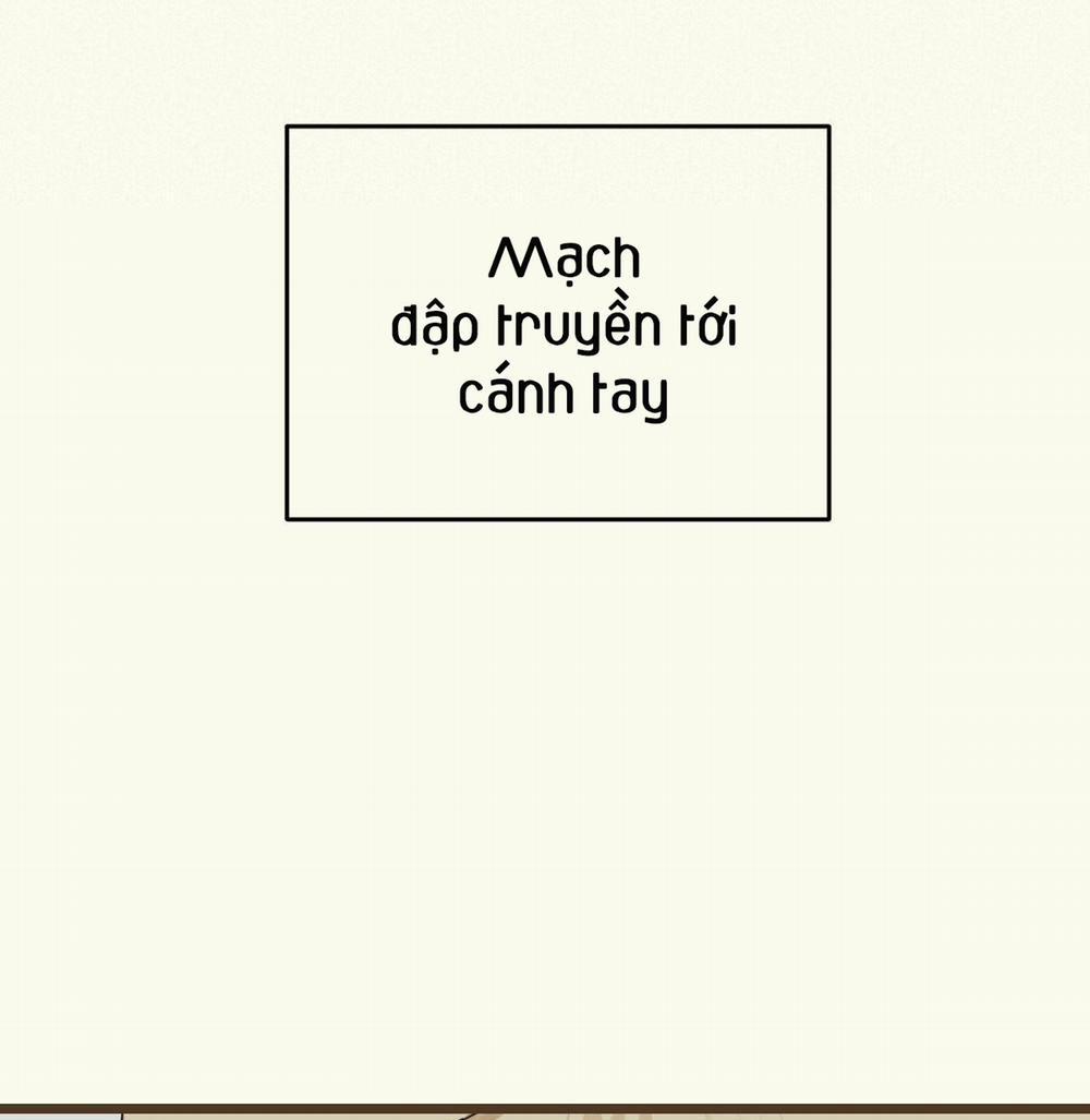 Tương Phùng 18 trang 191