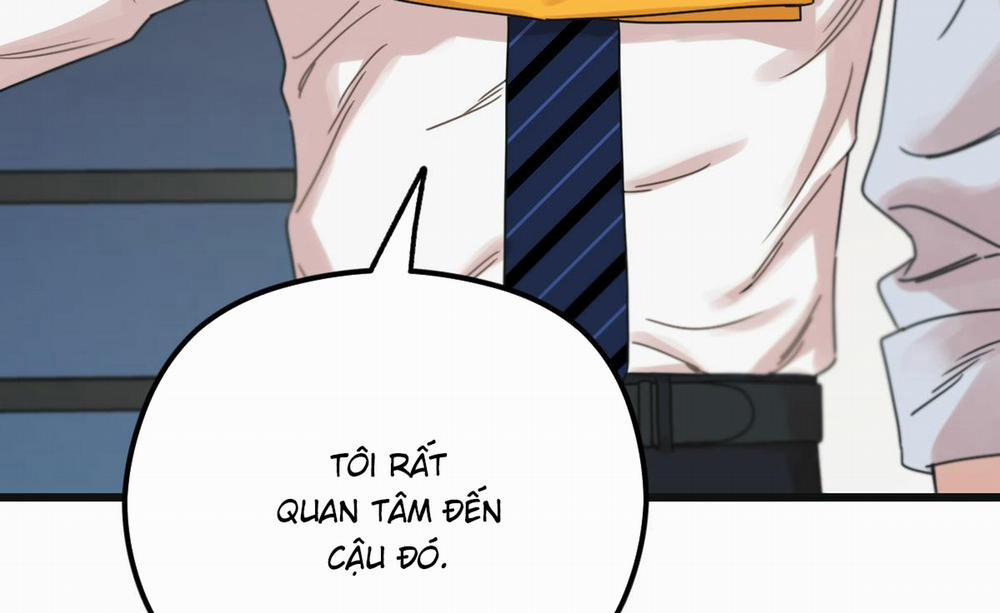 Tương Phùng 23 trang 241