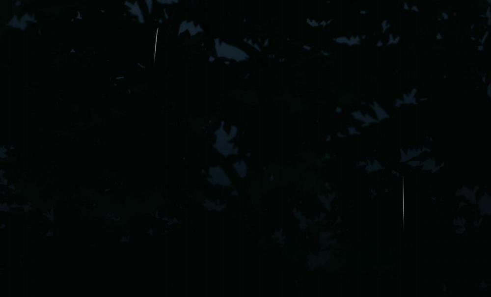 Tương Phùng 25 trang 261