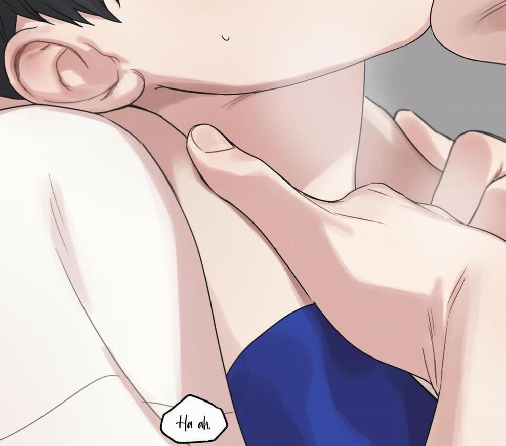 Tương Phùng 26 trang 266