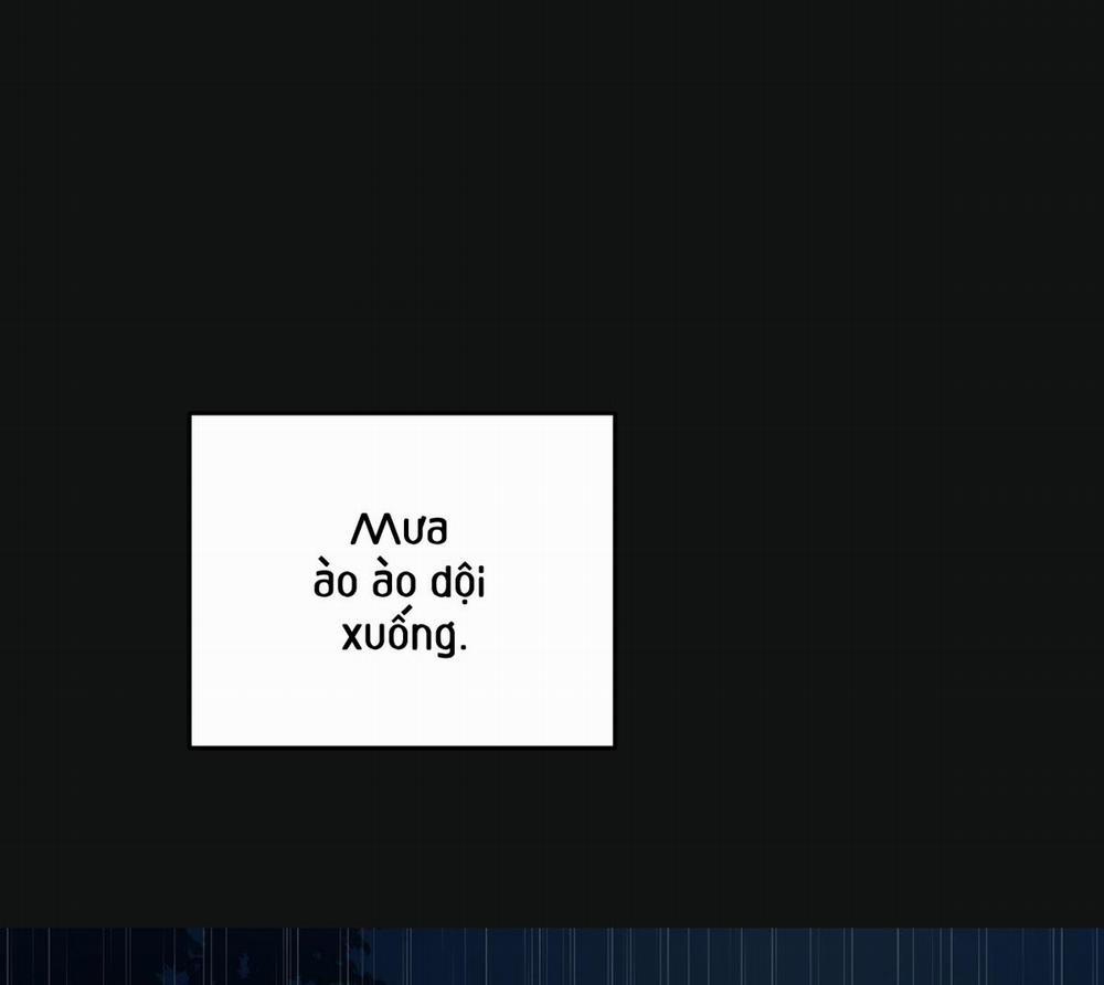 Tương Phùng 26 trang 81