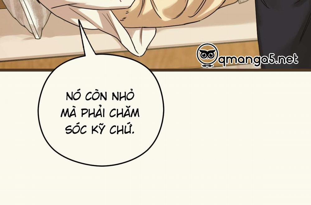 Tương Phùng 27 trang 66