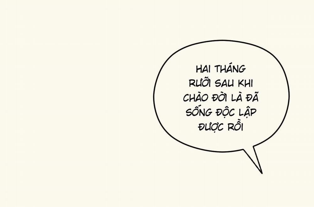 Tương Phùng 27 trang 68