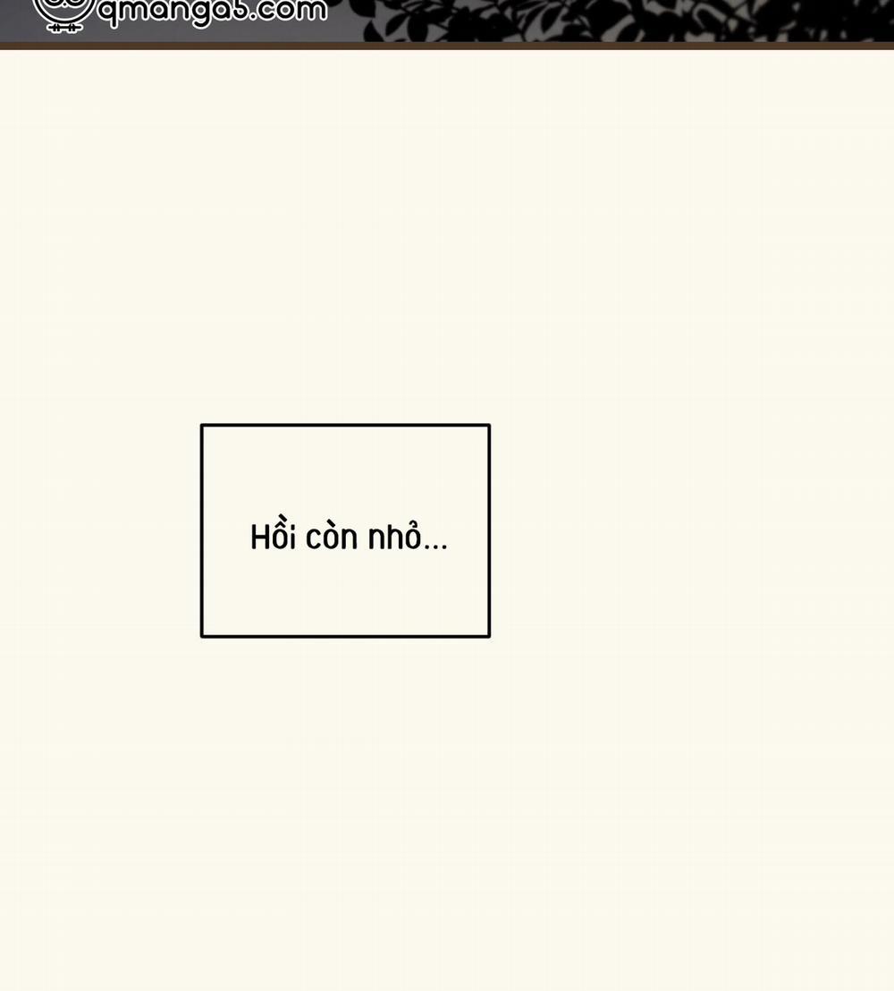 Tương Phùng 28 trang 117