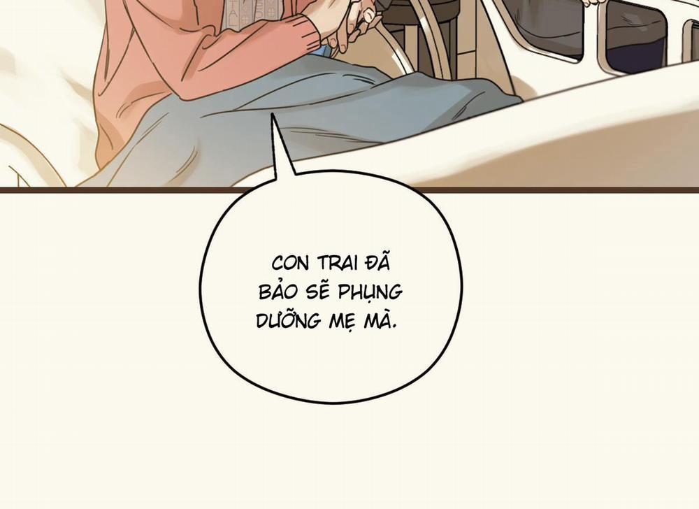 Tương Phùng 29 trang 141