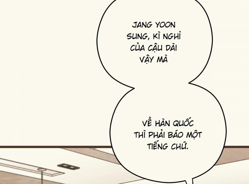 Tương Phùng 29 trang 17