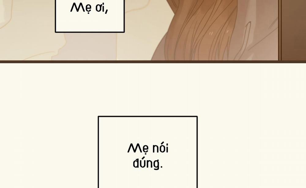 Tương Phùng 29 trang 232