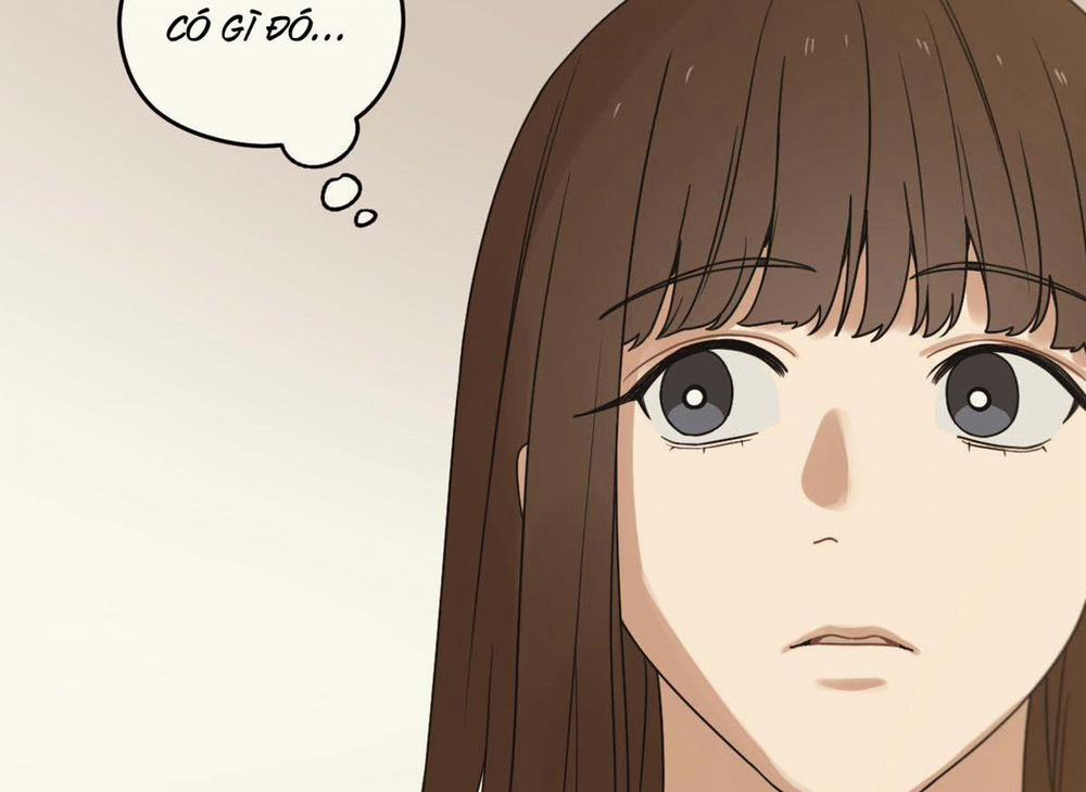 Tương Phùng 31 trang 219