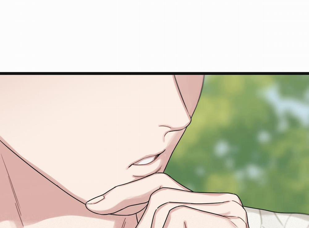 Tương Phùng 33 trang 213