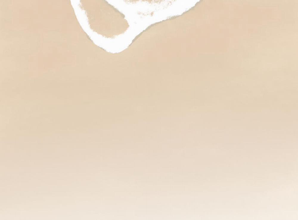 Tương Phùng 33 trang 219