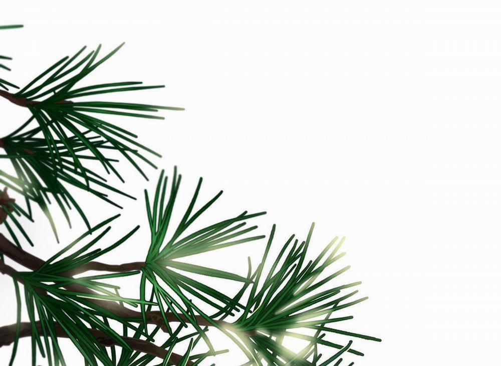 Tương Phùng 33 trang 4