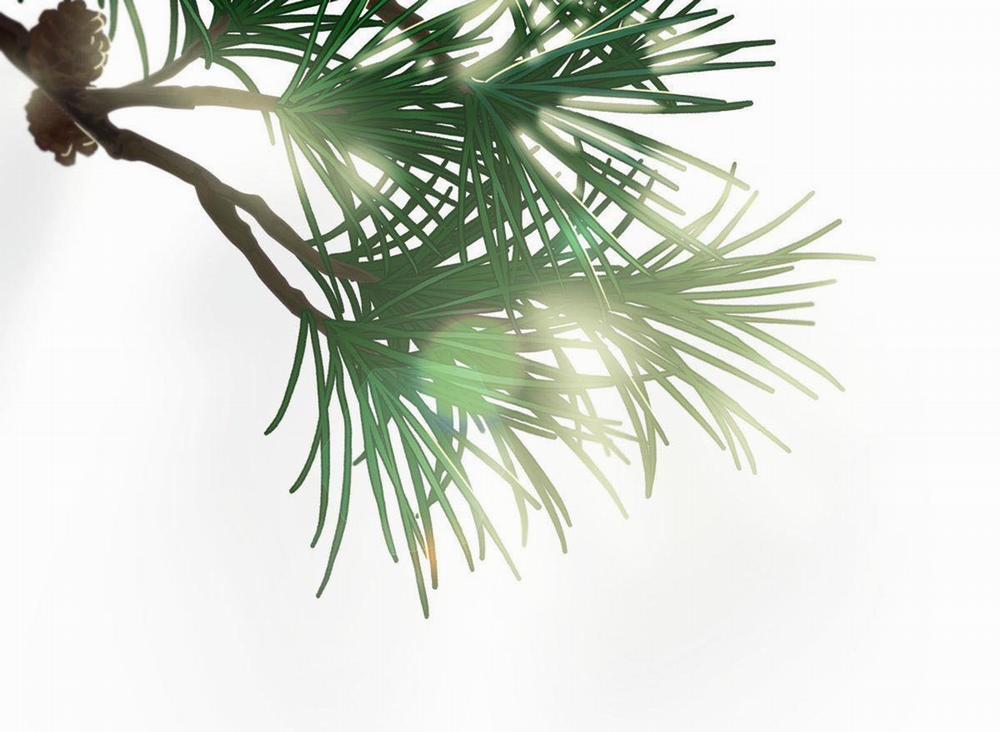 Tương Phùng 33 trang 5