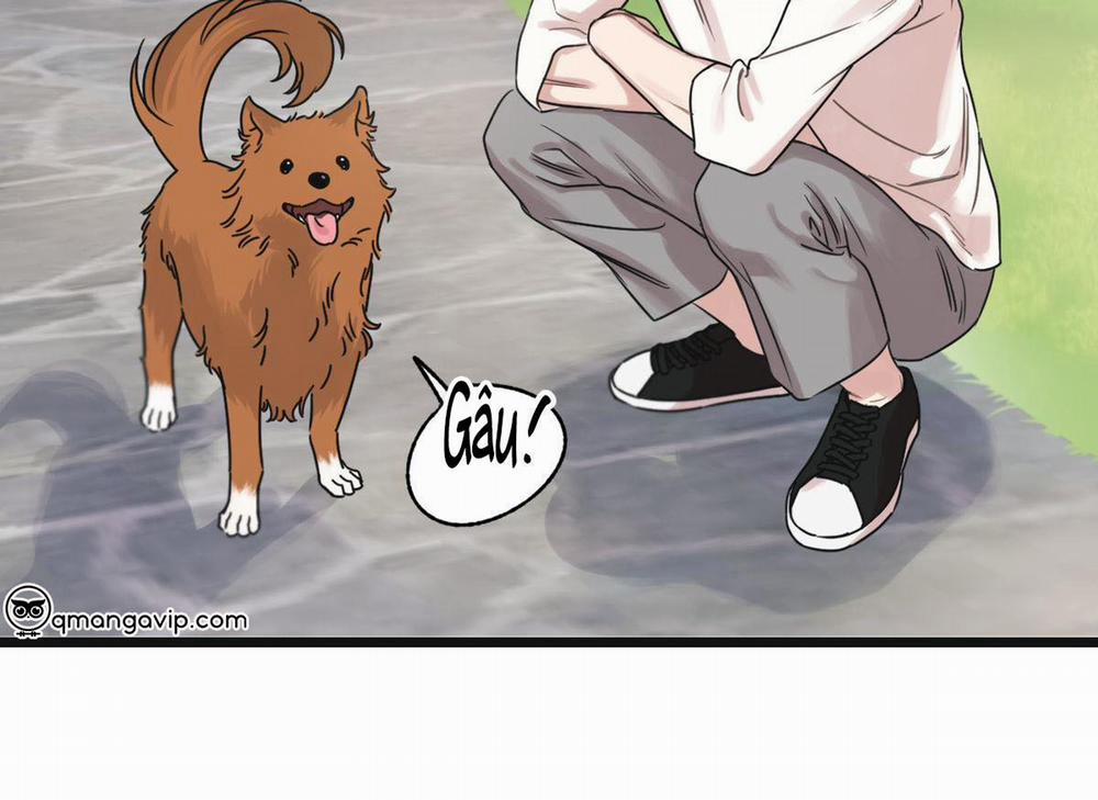 Tương Phùng 33 trang 85