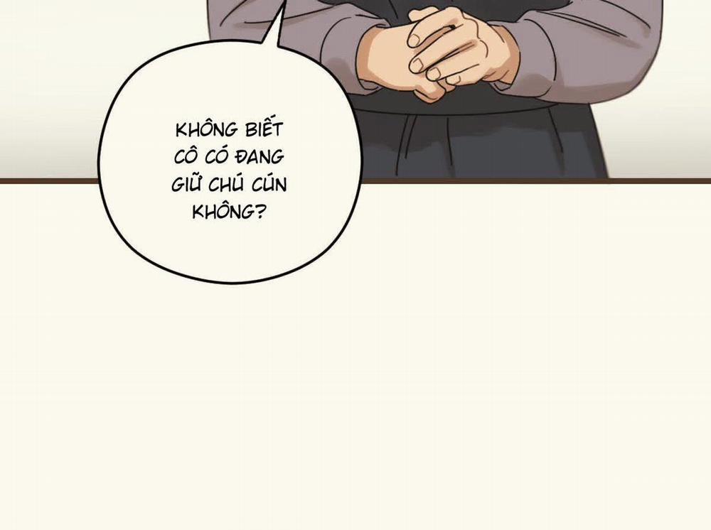 Tương Phùng 37 trang 146