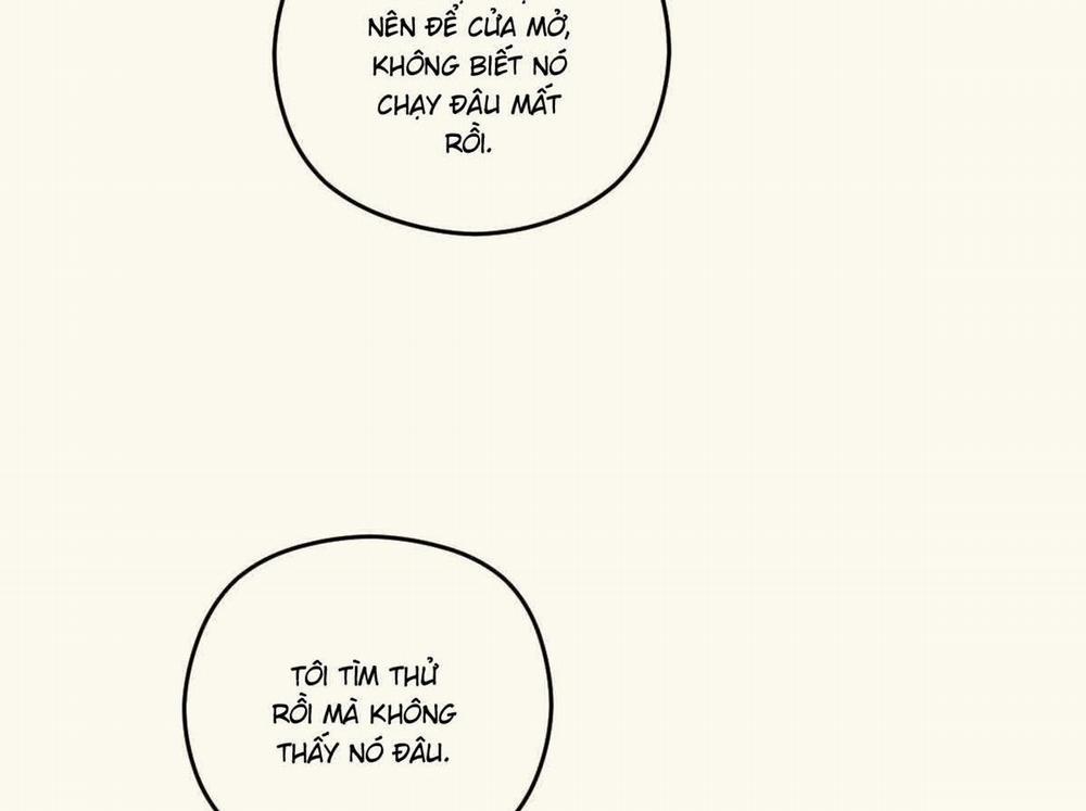 Tương Phùng 37 trang 151