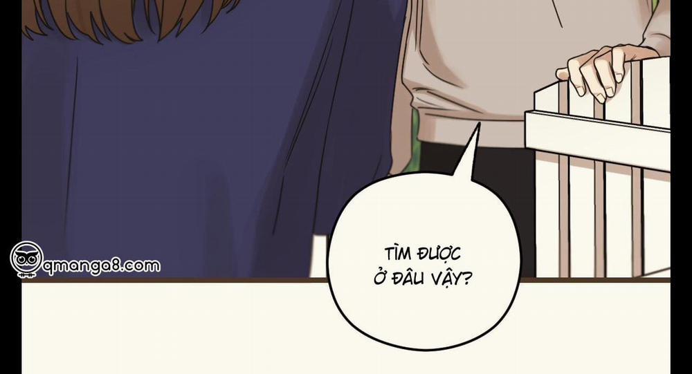 Tương Phùng 37 trang 243