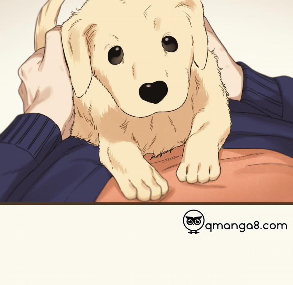 Tương Phùng 38 trang 12