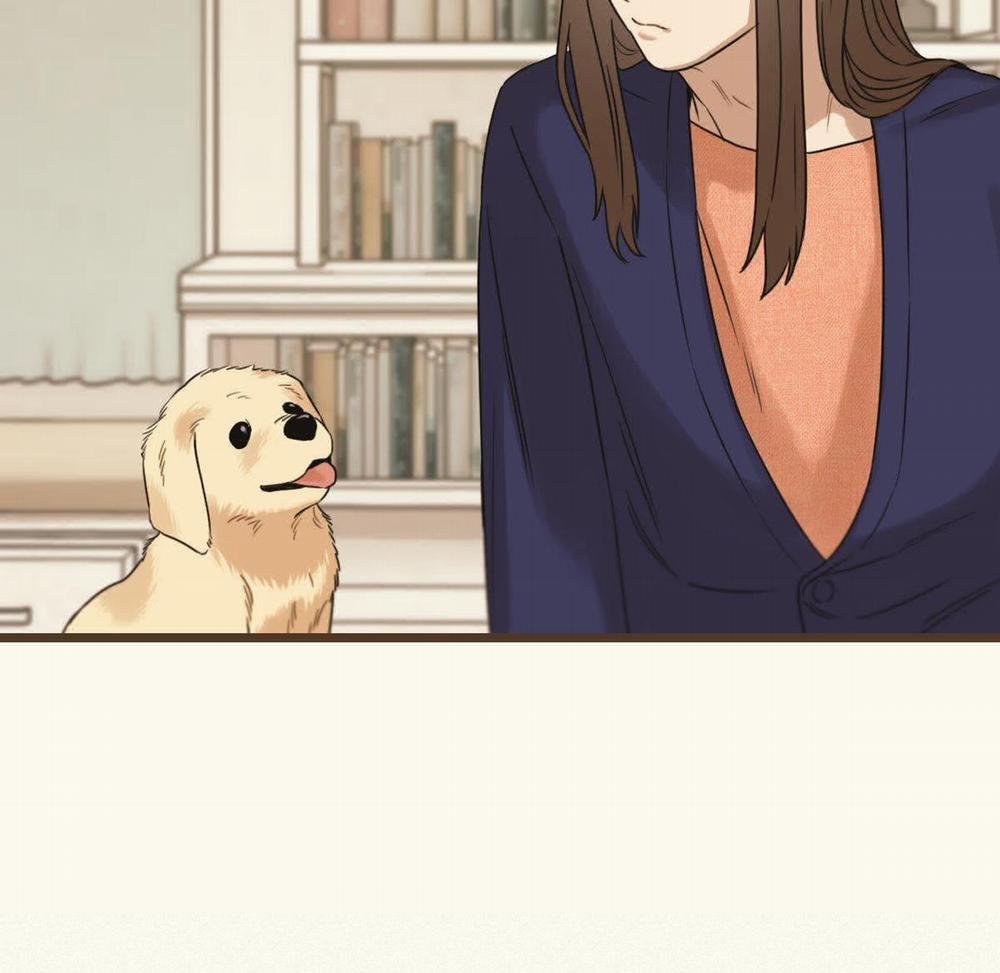 Tương Phùng 38 trang 19