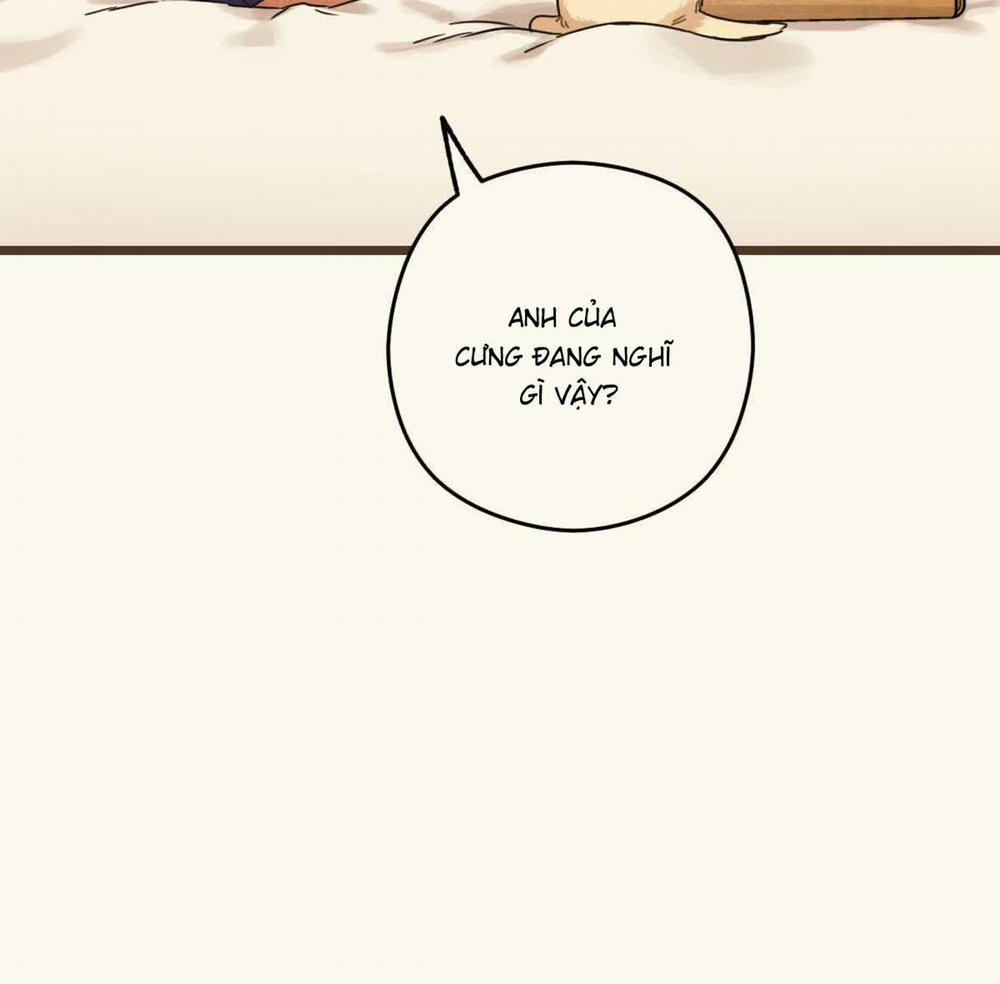 Tương Phùng 38 trang 43