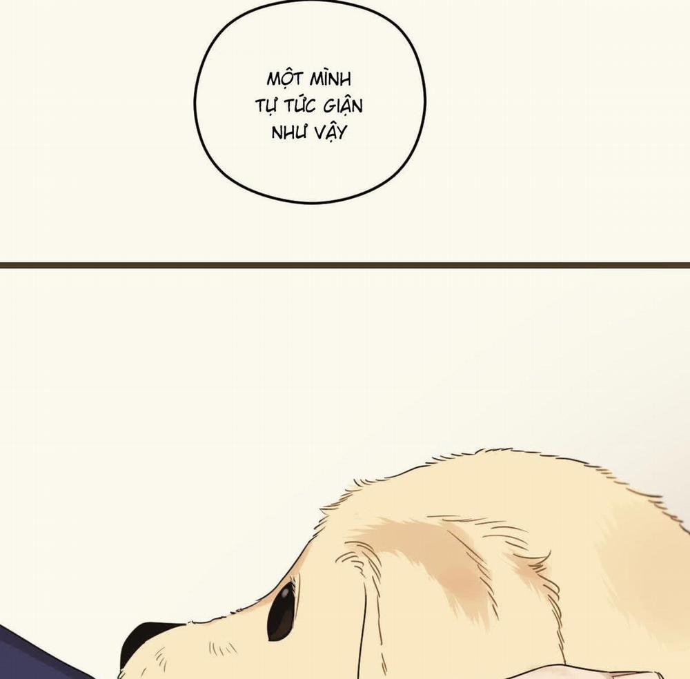 Tương Phùng 38 trang 45