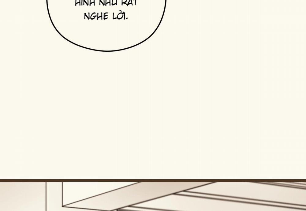 Tương Phùng 39 trang 14