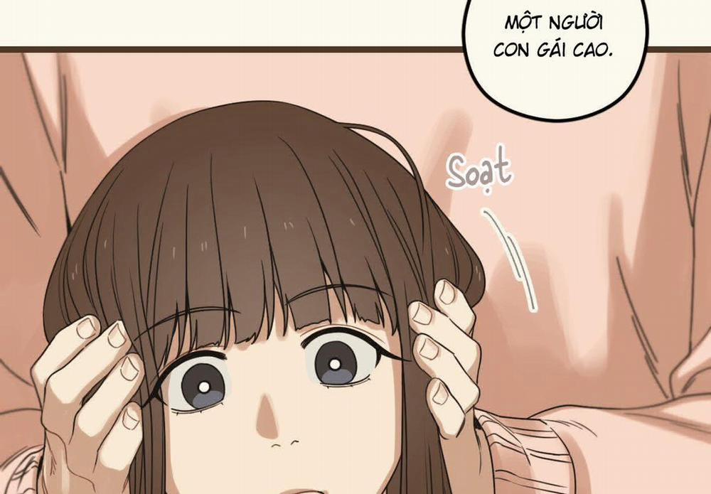 Tương Phùng 39 trang 324