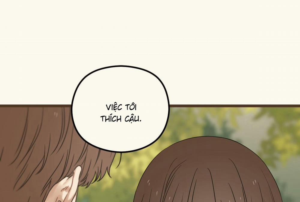 Tương Phùng 39 trang 395