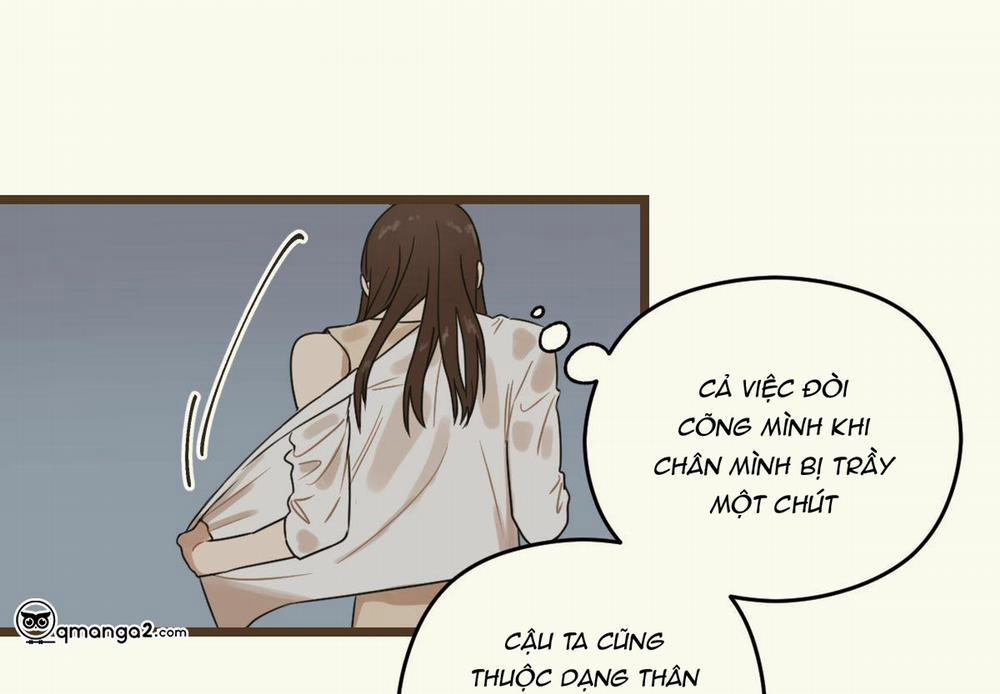 Tương Phùng 8 trang 208