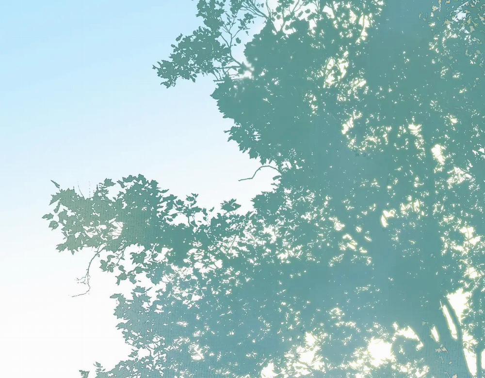 Tướng Quân! Coi Chừng Chó Dại! 19 trang 17