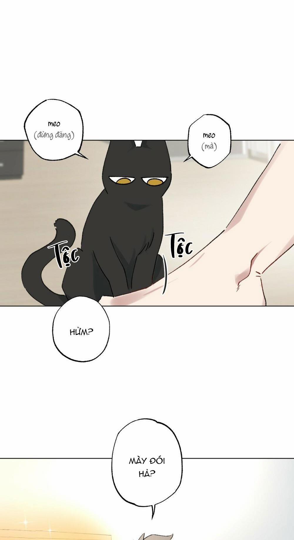 TUYỂN TẬP BL THÚ NHÂN 3.1 trang 36