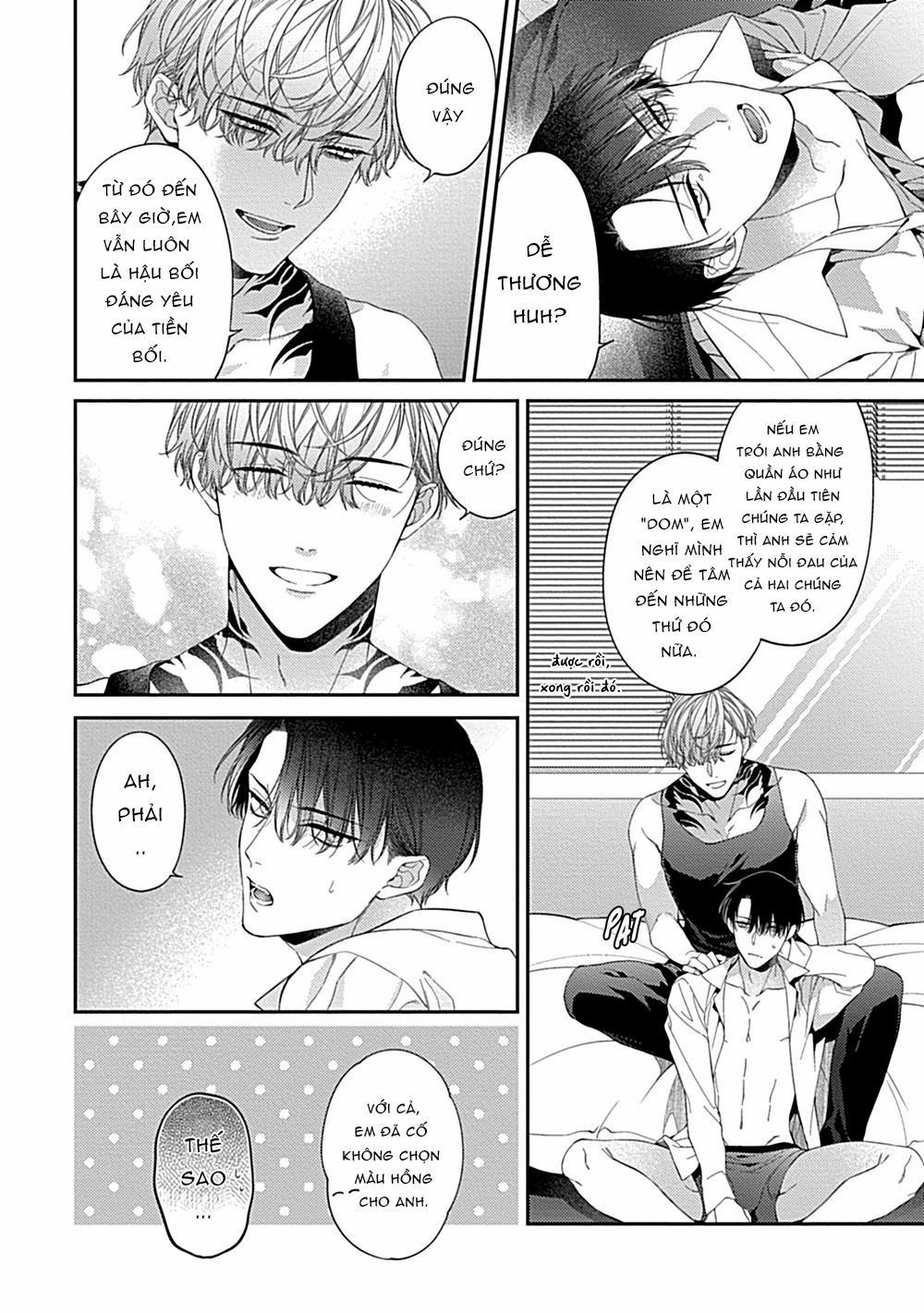 TUYỂN TẬP CU 18CM 15.2 Bộ 3 trang 5