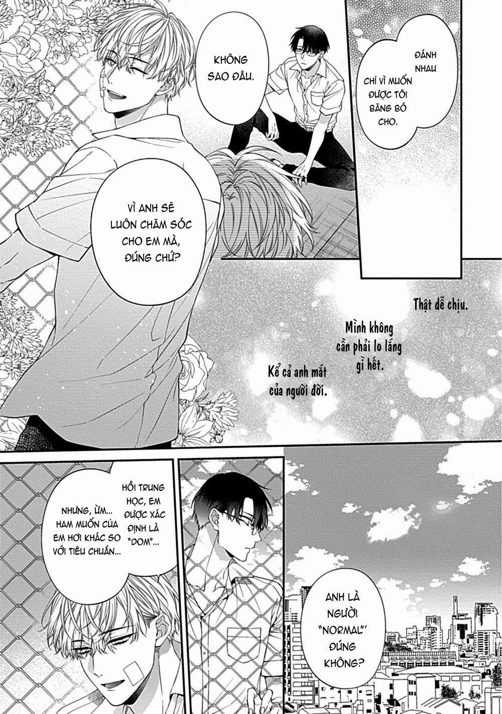 TUYỂN TẬP CU 18CM 15.3 trang 16