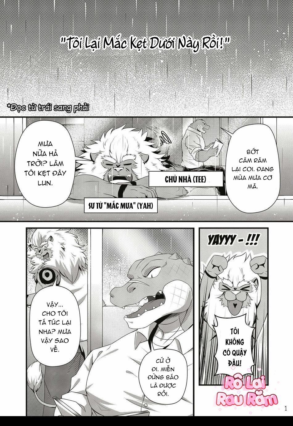 TUYỂN TẬP CU 18CM 72 trang 3