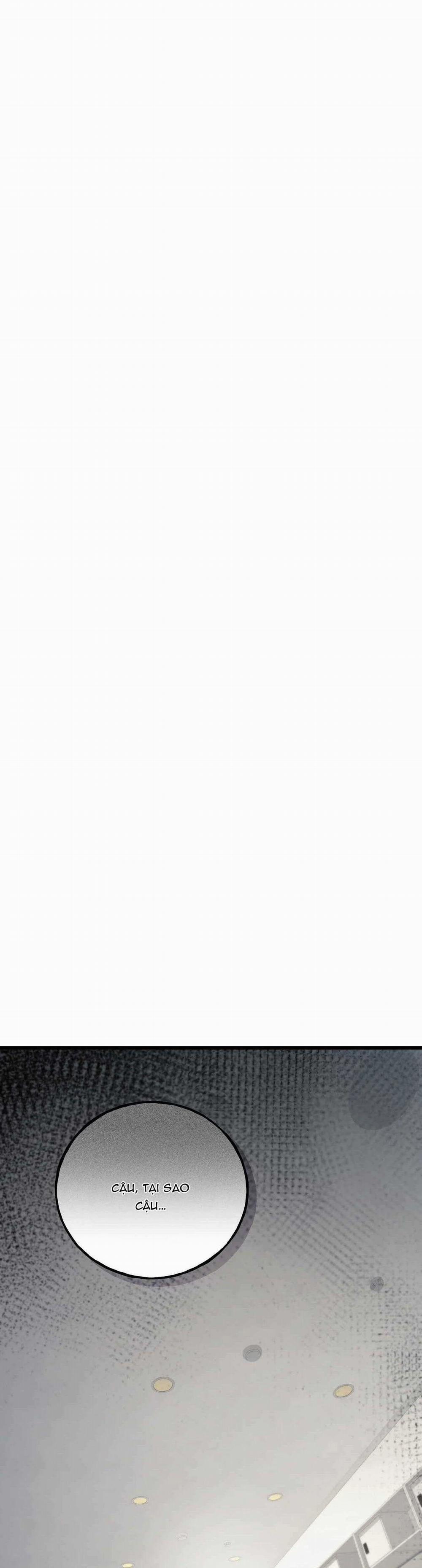 TUYỂN TẬP CUỒNG CÔNG-CHIẾM HỮU CÔNG CỦA NHÀ KIM 43.3 trang 12