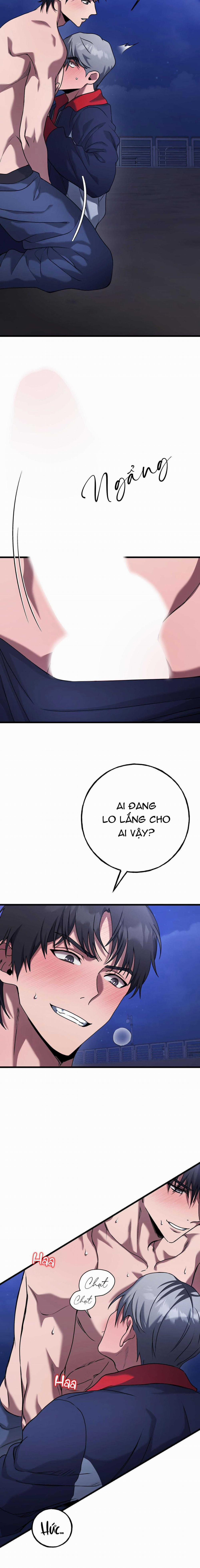 TUYỂN TẬP CUỒNG CÔNG-CHIẾM HỮU CÔNG CỦA NHÀ KIM 43.91 trang 3