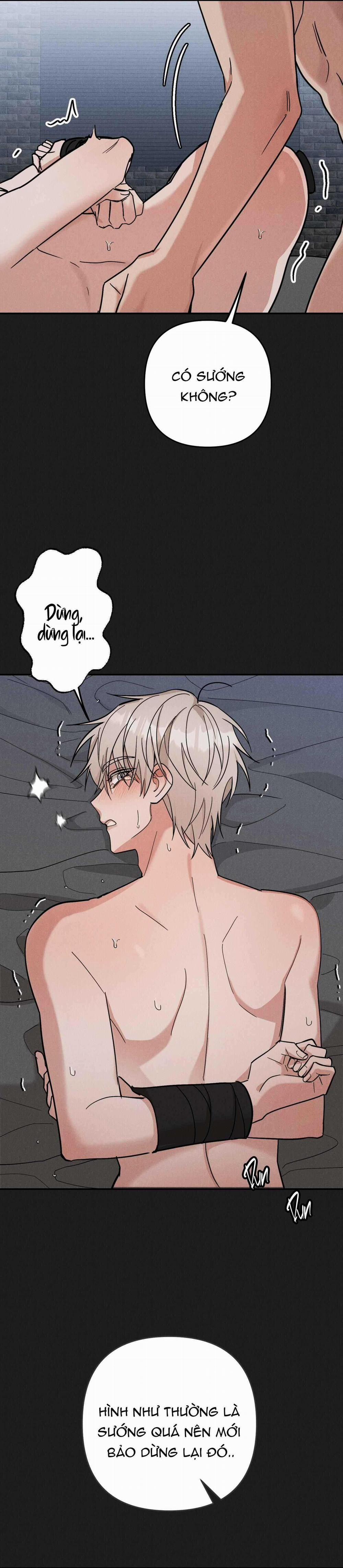 TUYỂN TẬP CUỒNG CÔNG-CHIẾM HỮU CÔNG CỦA NHÀ KIM 44.1 trang 1