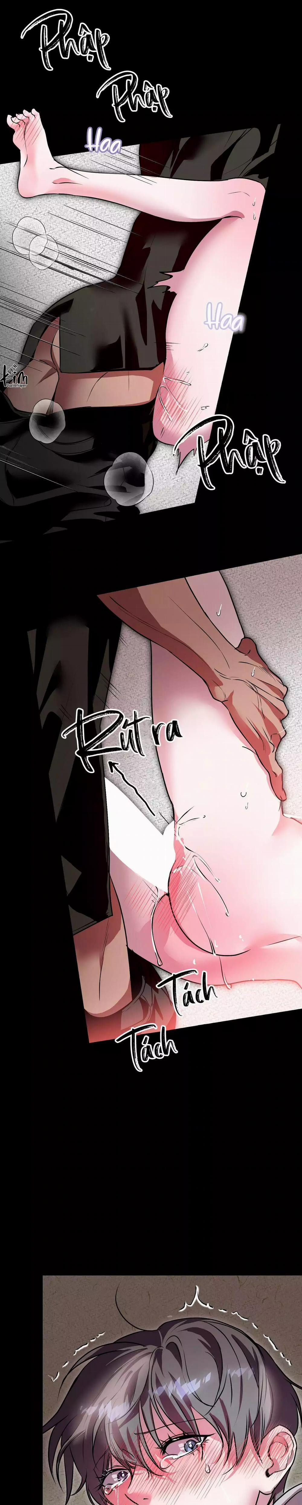 TUYỂN TẬP CUỒNG CÔNG-CHIẾM HỮU CÔNG CỦA NHÀ KIM 46.1 trang 5