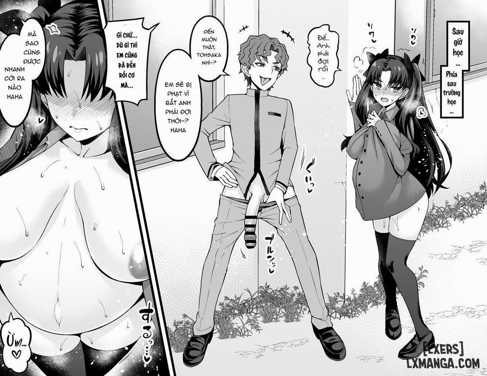 Tuyển Tập Fate Ankoman Shinji Matou 13 trang 1