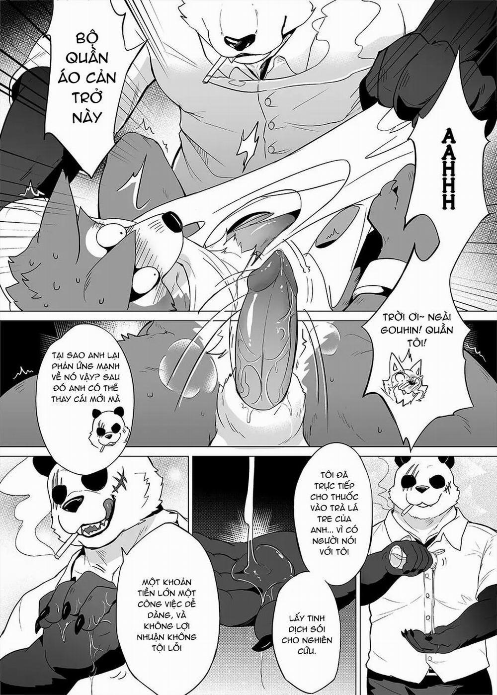 TUYỂN TẬP GÂY NỨNG NHÀ RÔ 242 trang 3