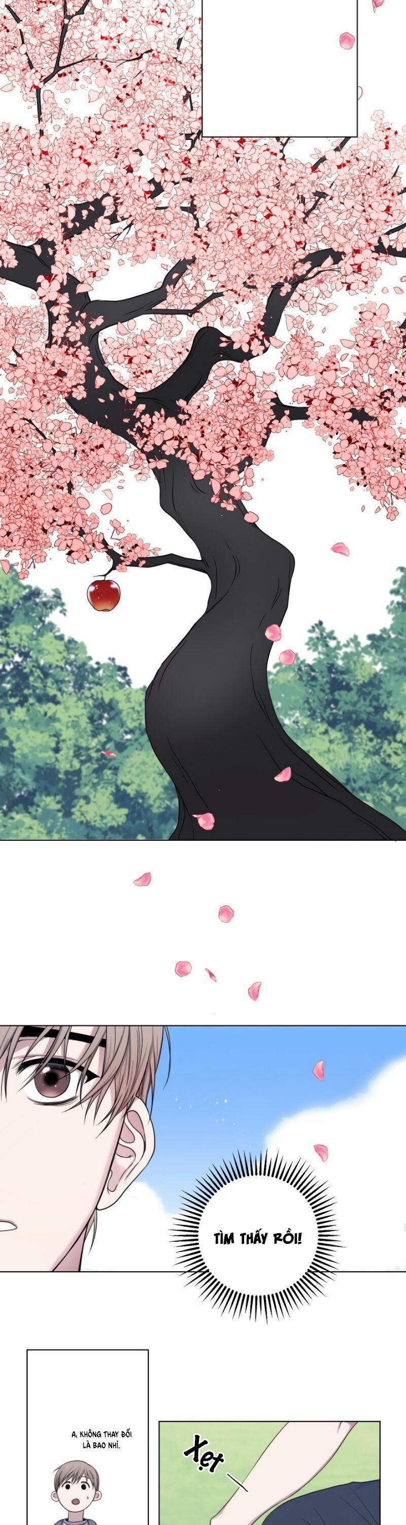 Tuyển Tập Manhwa 18+ 3 Trái Cấm trang 10