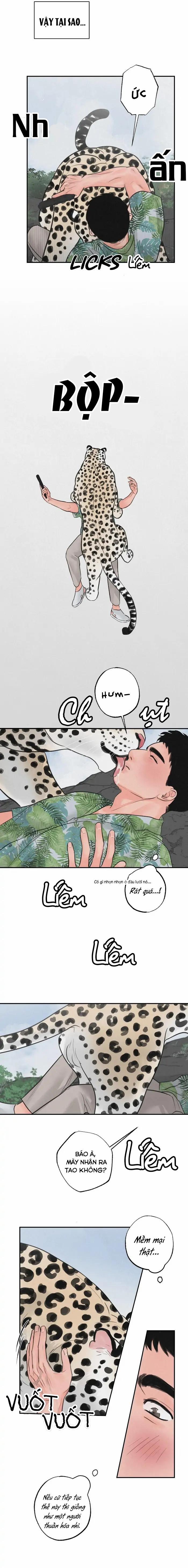 Tuyển Tập Manhwa 18+ Chương 39 Safari Game Trang 11