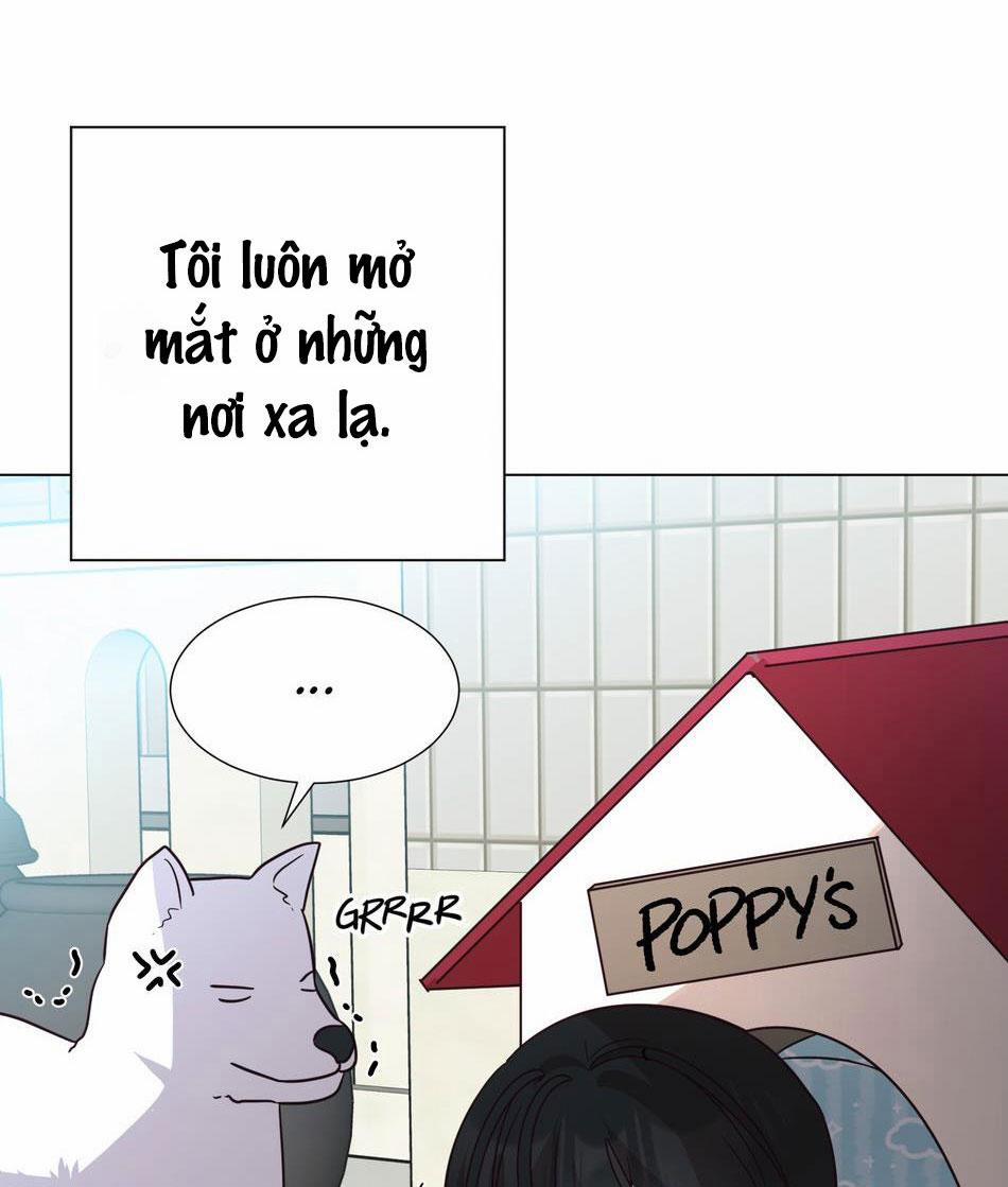 Tuyển Tập Manhwa Dằm Khăm Chương 8 Ngu ngon 1 Trang 7