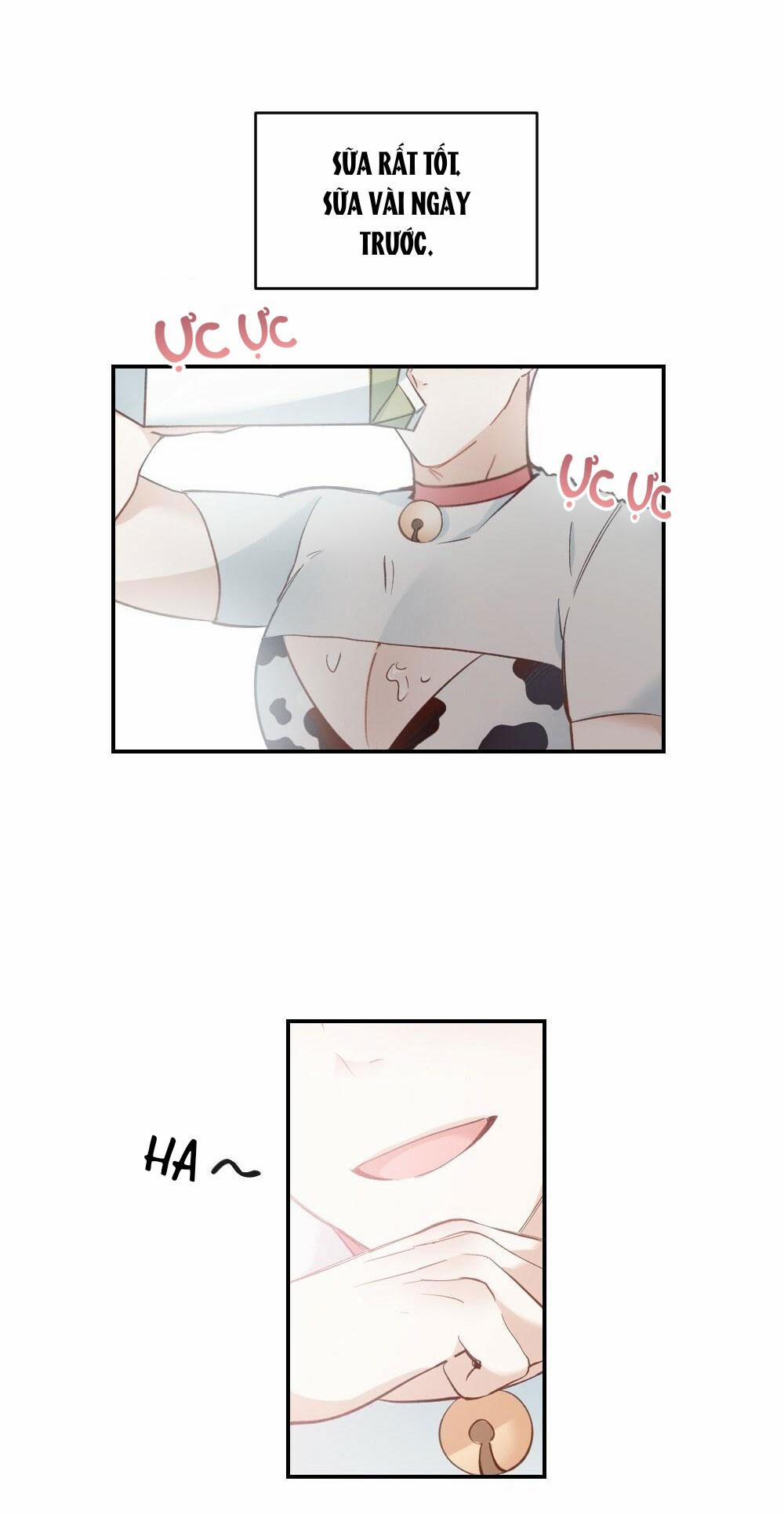 TUYỂN TẬP NGỰC BỰ, CUNG KHỦ CỦA NHÀ KIM 10 BÒ SỮA 3 END trang 3