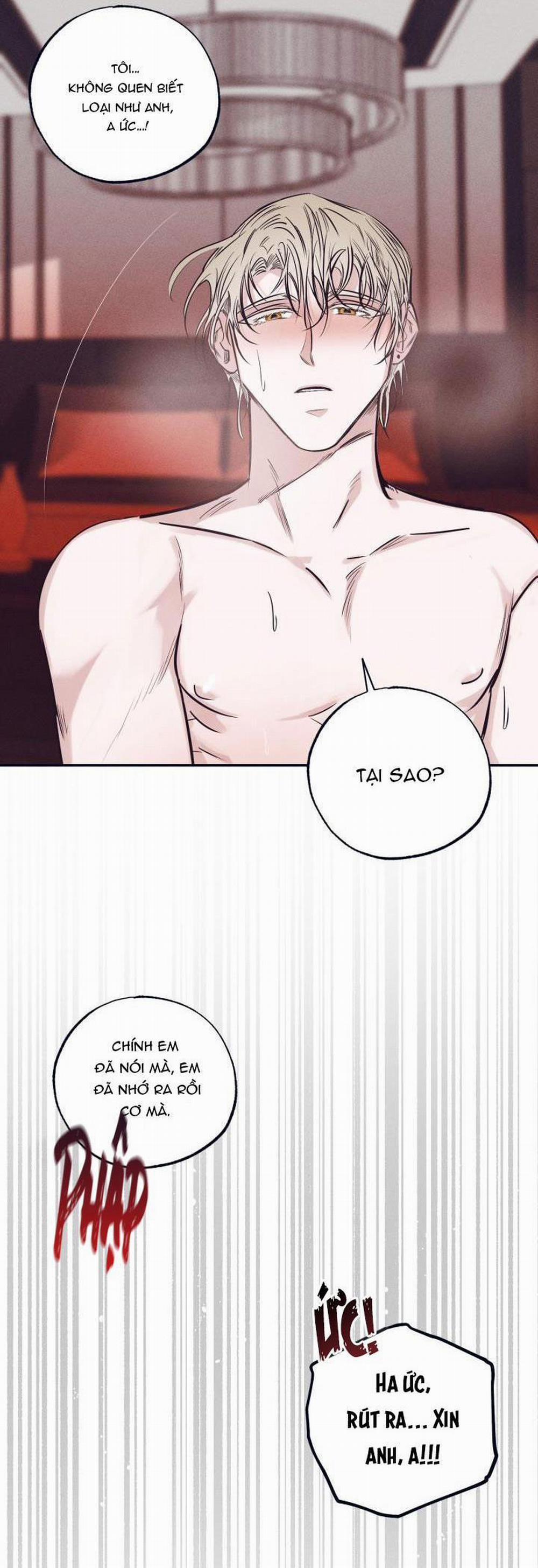 TUYỂN TẬP NGỰC BỰ, CUNG KHỦ CỦA NHÀ KIM 14 trang 4