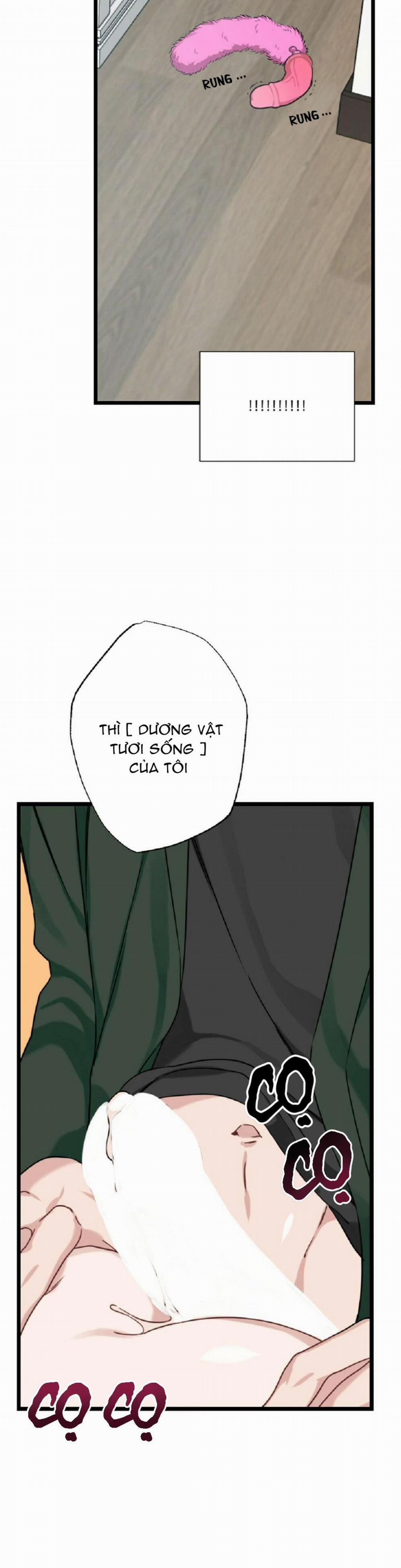 TUYỂN TẬP NGỰC BỰ, CUNG KHỦ CỦA NHÀ KIM 25 trang 3