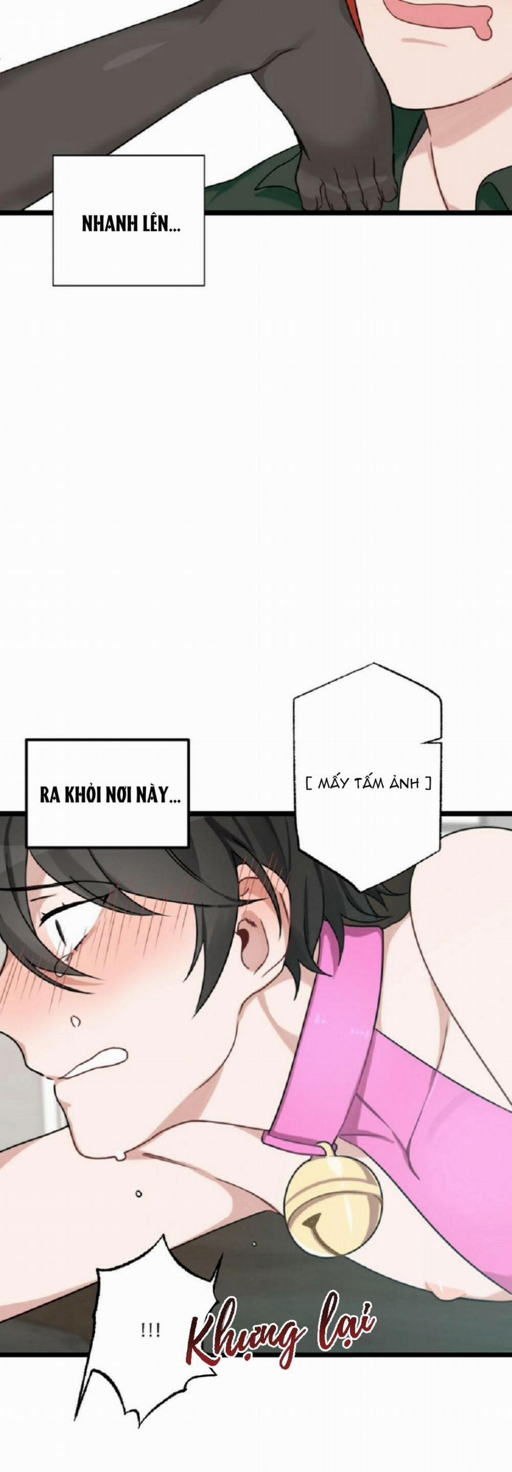 TUYỂN TẬP NGỰC BỰ, CUNG KHỦ CỦA NHÀ KIM 25 trang 6