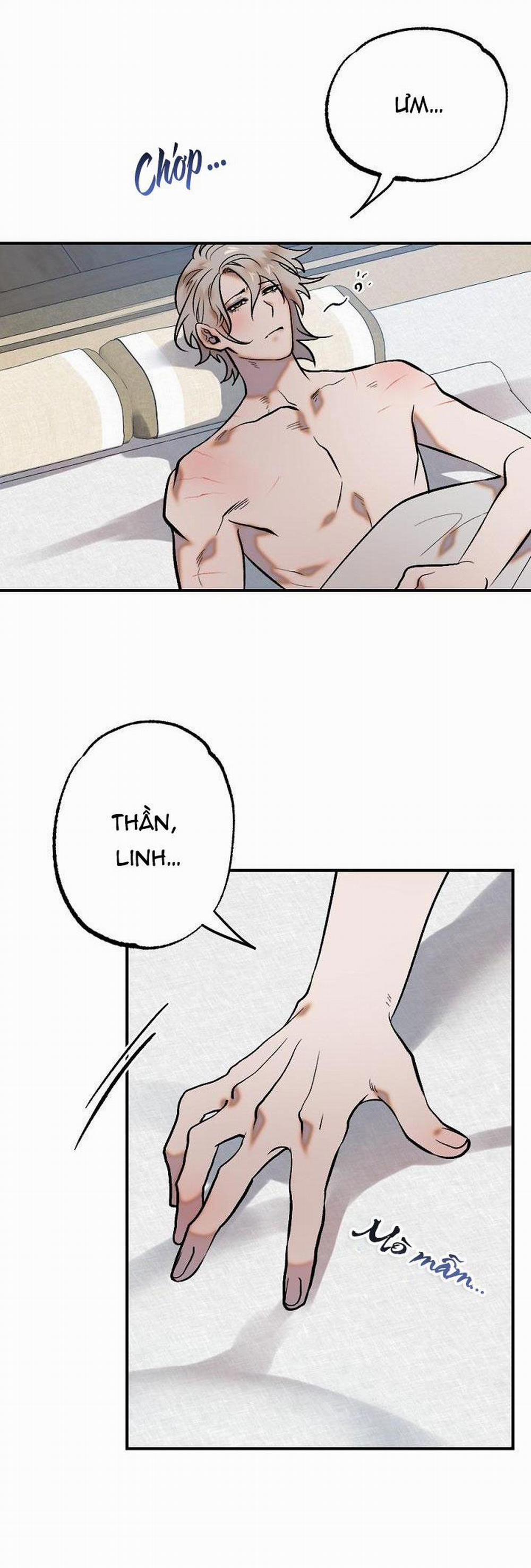 TUYỂN TẬP NGỰC BỰ, CUNG KHỦ CỦA NHÀ KIM 3 trang 2