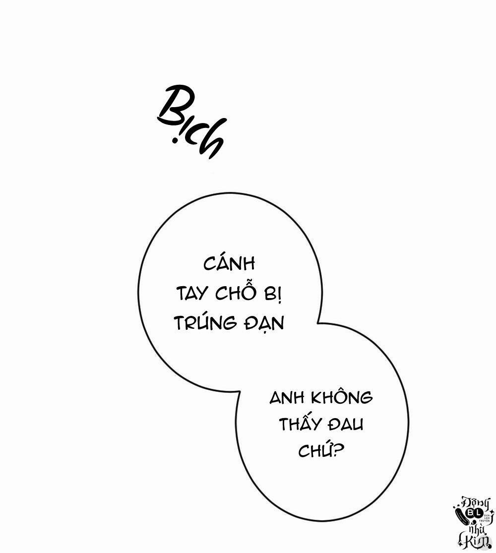 TUYỂN TẬP NGỰC BỰ, CUNG KHỦ CỦA NHÀ KIM 38 trang 16